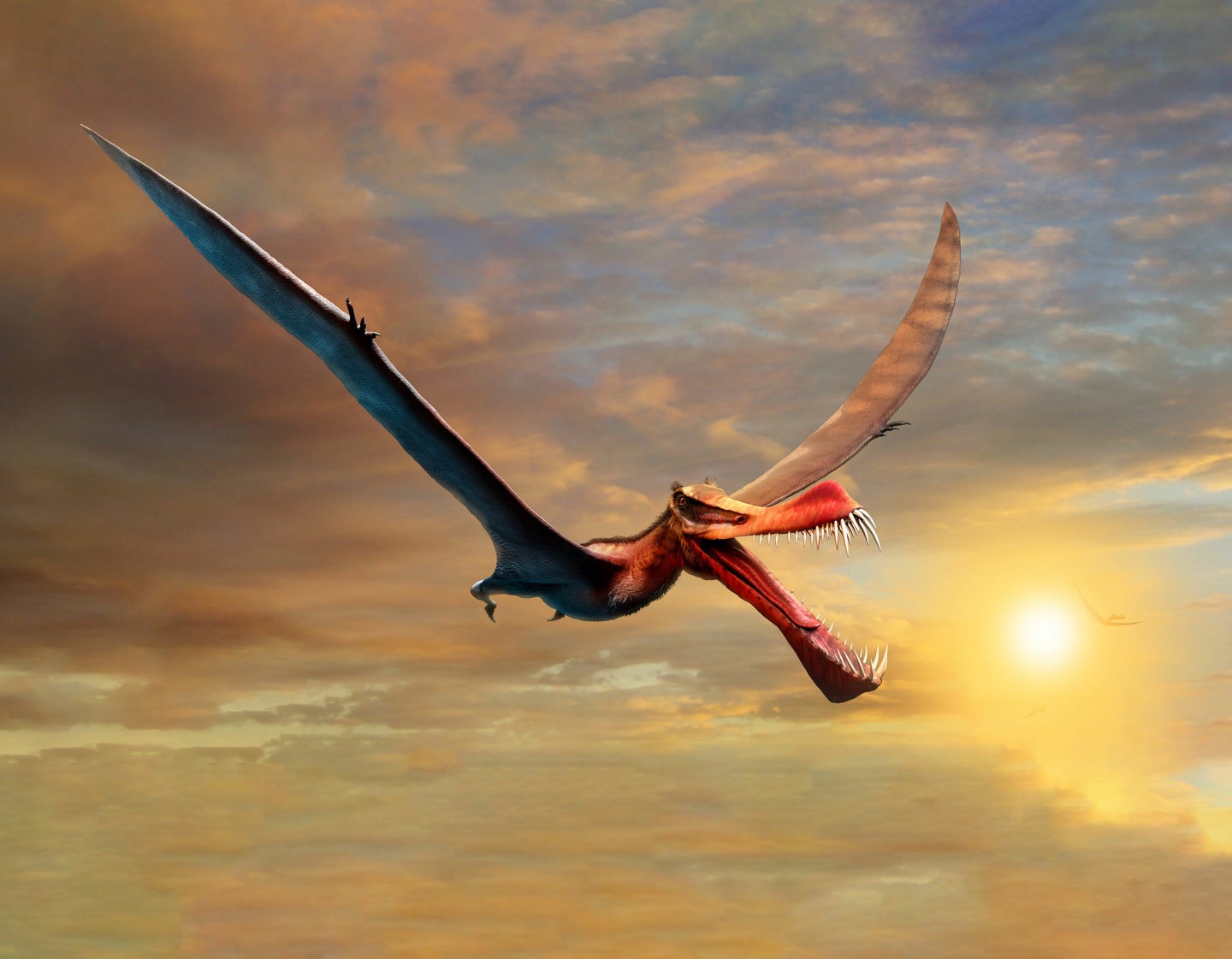An artist's depiction of an extinct pterosaur, a flying reptile relative of dinosaurs.