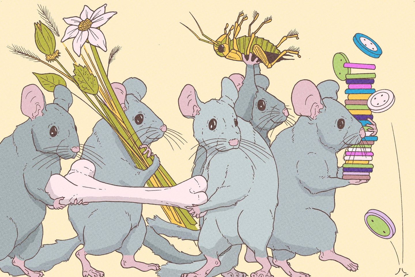 a colorful illustration of long-tailed gray rodents carrying assorted objects such as buttons, bones, bugs, and flowers