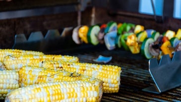 Fire up the best gas grill for backyard fun.