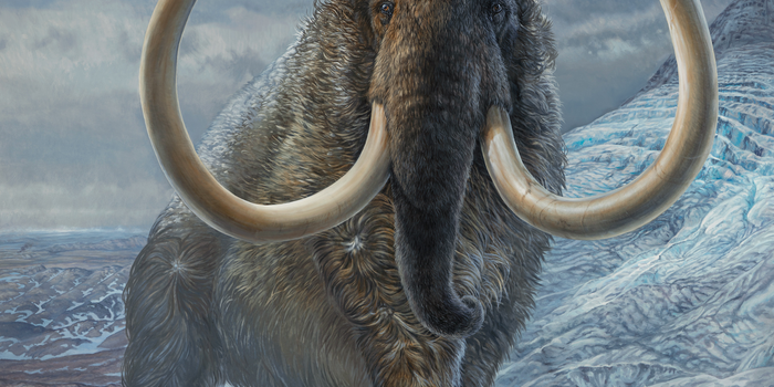 Researchers retraced a woolly mammoth’s steps 17,000 years after it died