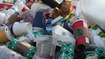 Your compostable cups and containers aren’t reversing the plastic problem