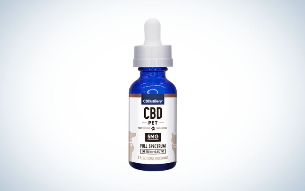 The CBD Distillery Full-Spectrum Pet Tincture is one of the best CBD oils for dogs with cancer.