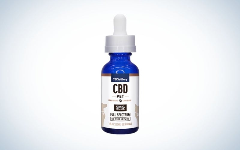 The CBD Distillery Full-Spectrum Pet Tincture is one of the best CBD oils for dogs with cancer.