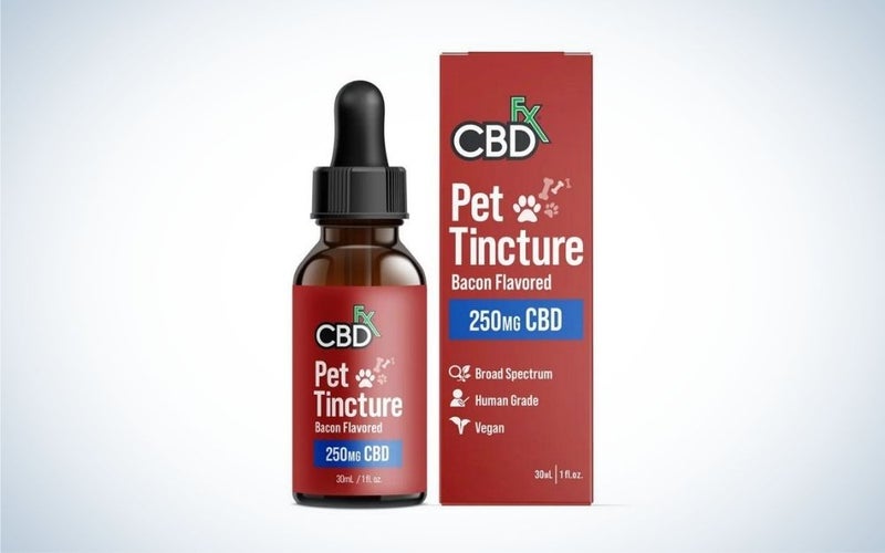 The CBDFx Small-Breed CBD Oil for Dogs is one of the best CBD oils for dogs with cancer.