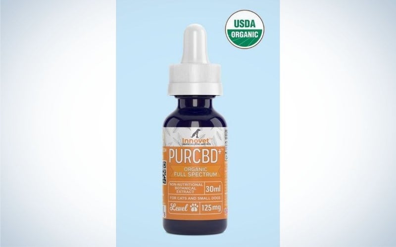 The Innovet Pet Organic Full-Spectrum CBD Oil for Dogs is one of the best CBD oils for dogs with cancer.