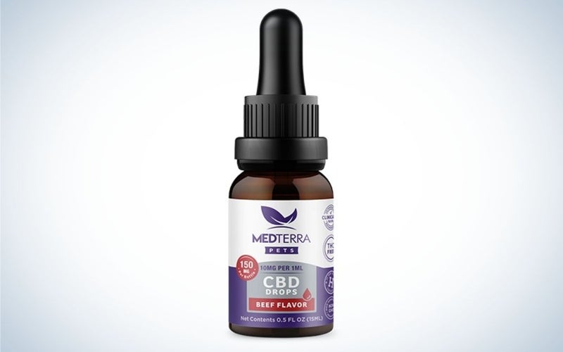 The MedTerra Beef-Flavor CBD Tincture for Dogs is one of the best CBD oils for dogs with cancer.
