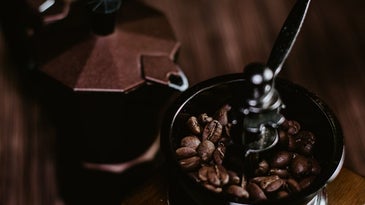 Find the best coffee grinder for you.