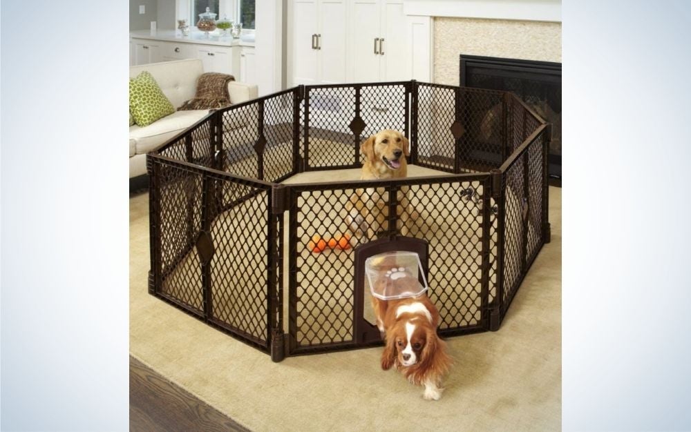 The North States Mypet Petyard Passage is the best dog pen for indoors.