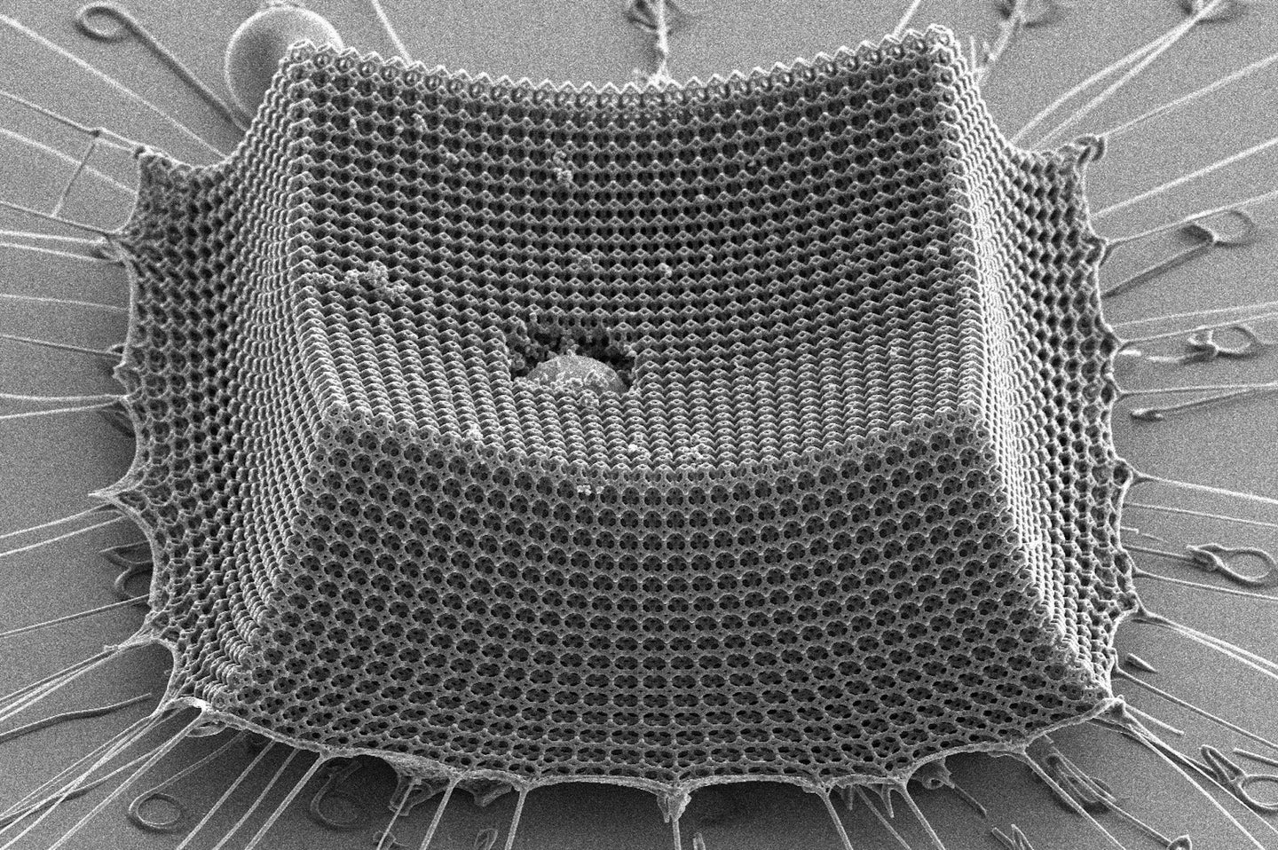 Nanoarmor design under microscope.