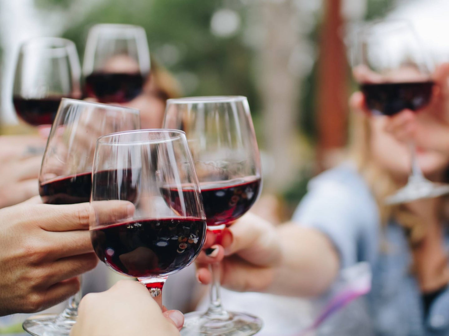 people-outdoors-toasting-with-glasses-of-wine