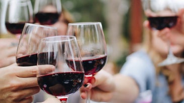 people-outdoors-toasting-with-glasses-of-wine