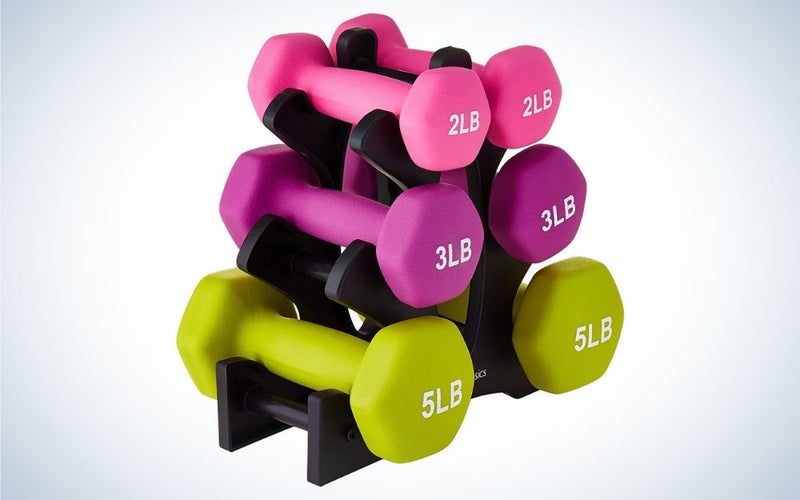 Amazon Basics Dumbbell Hand Weight Set is our pick for best home workout equipment.