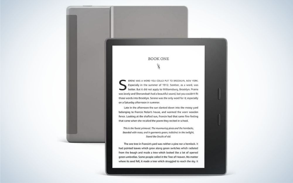 Kindle Oasis our pick for the best eReaders.