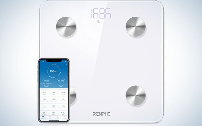 The Renpho Body Fat Scale is the best budget bathroom scale.