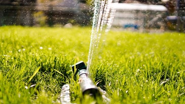 The best sprinkler system helps keep your grass healthy and green.