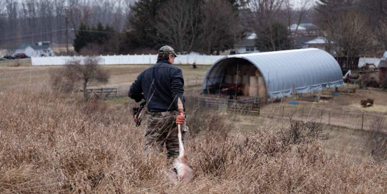 Field-to-table food is the future of sustainable eating and hunting