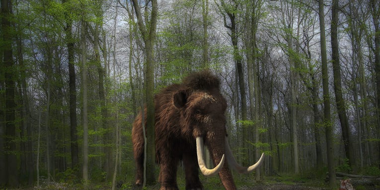 This CRISPR startup thinks that mammoths can save the Arctic. Is it right?