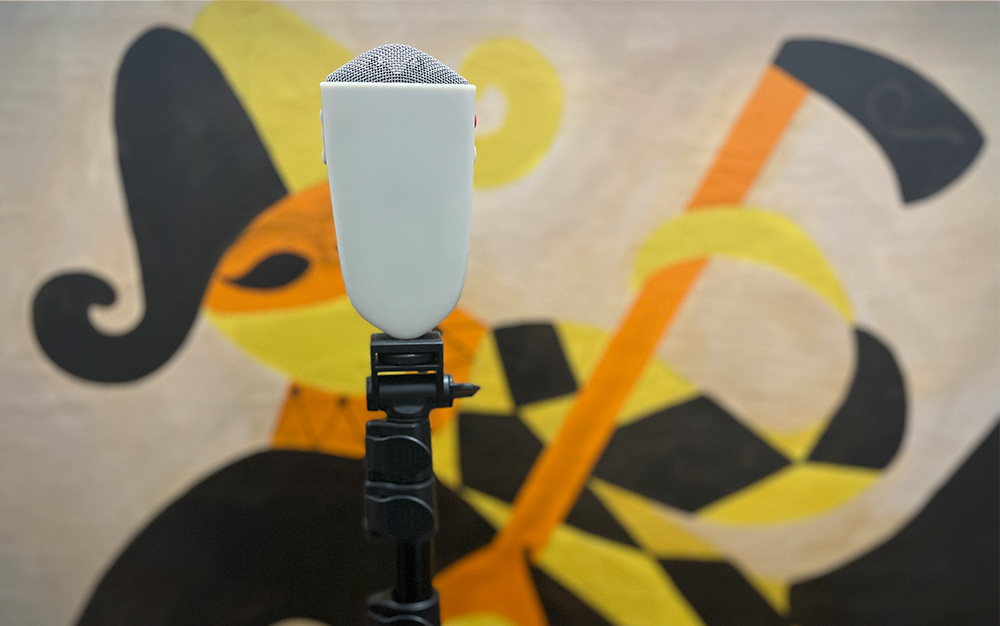 A Blast Mic in front of a painting