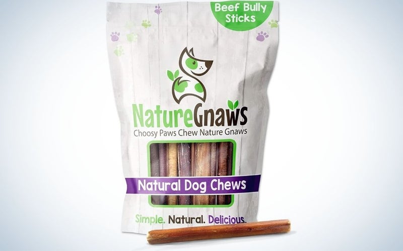 Best_Dental_Chews_for_Dogs_Nature_Gnaws
