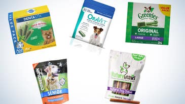 Best dental chews for dogs in 2023