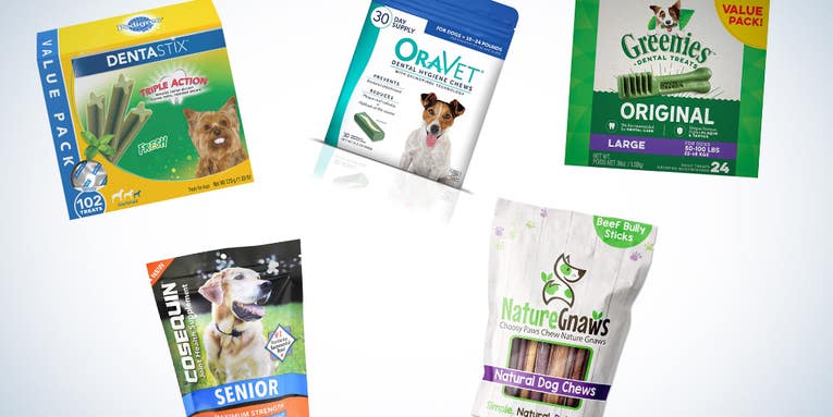 Best dental chews for dogs in 2023