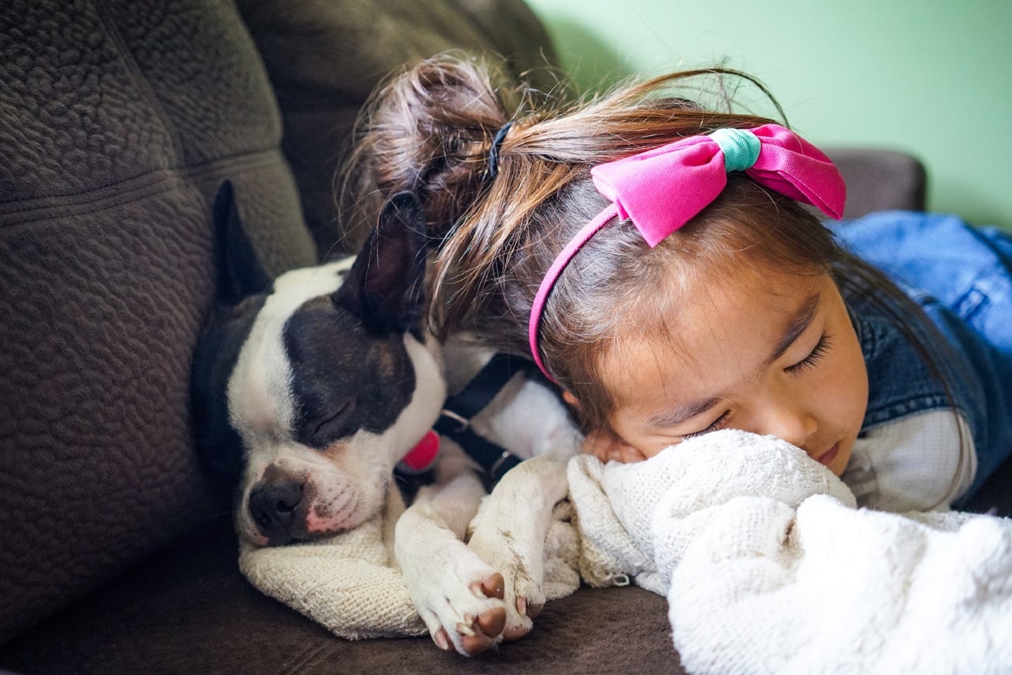 Kid and puppy taking a nap on the couch as part of a healthy sleep schedule