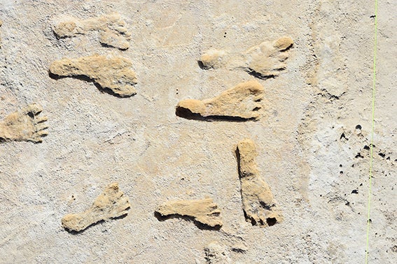fossilized human footprints