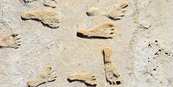 These footprints could push back human history in the Americas