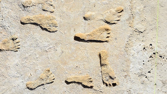 fossilized human footprints