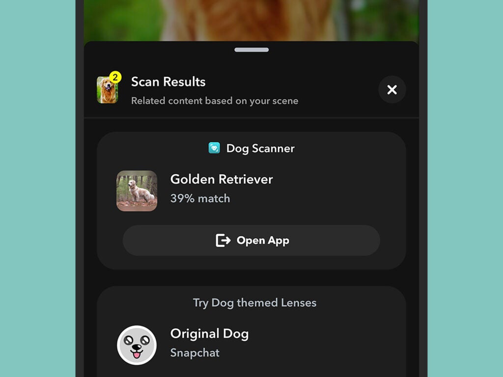 Snapchat Scan results for a dog.