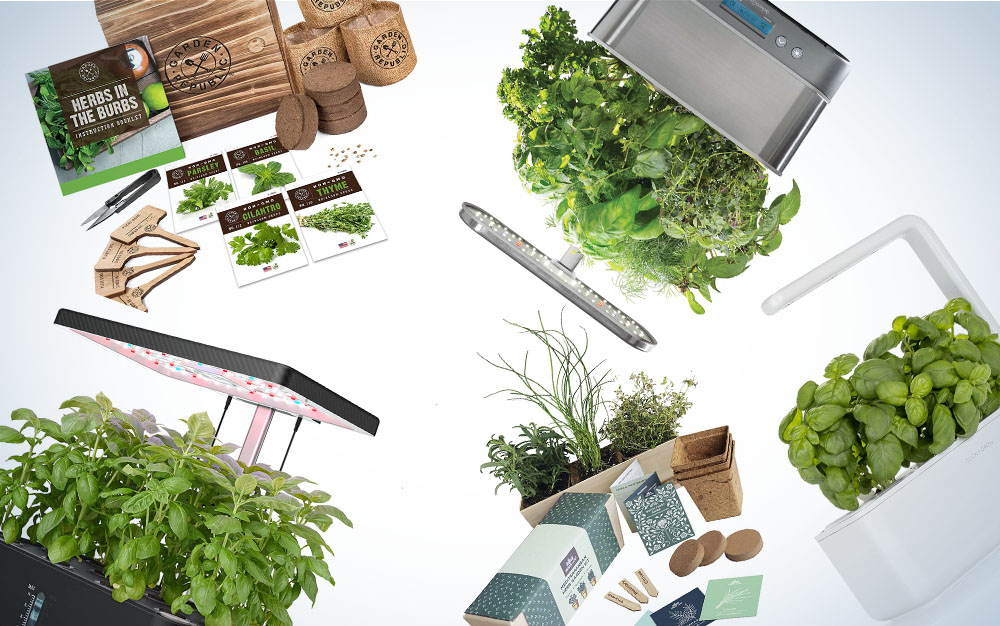 The best indoor herb gardens of 2023