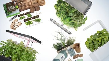 Best indoor herb gardens of 2023