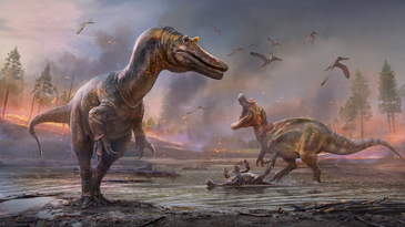 Two large dinosaurs roam a dusky background.