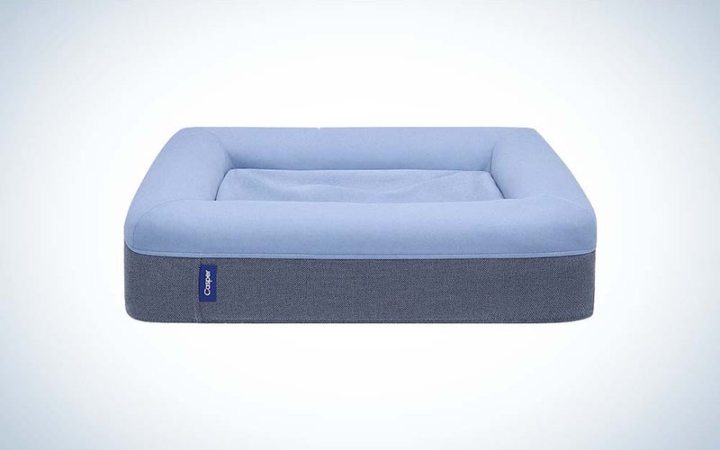A blue Casper dog bed made with memory foam against a plain background.