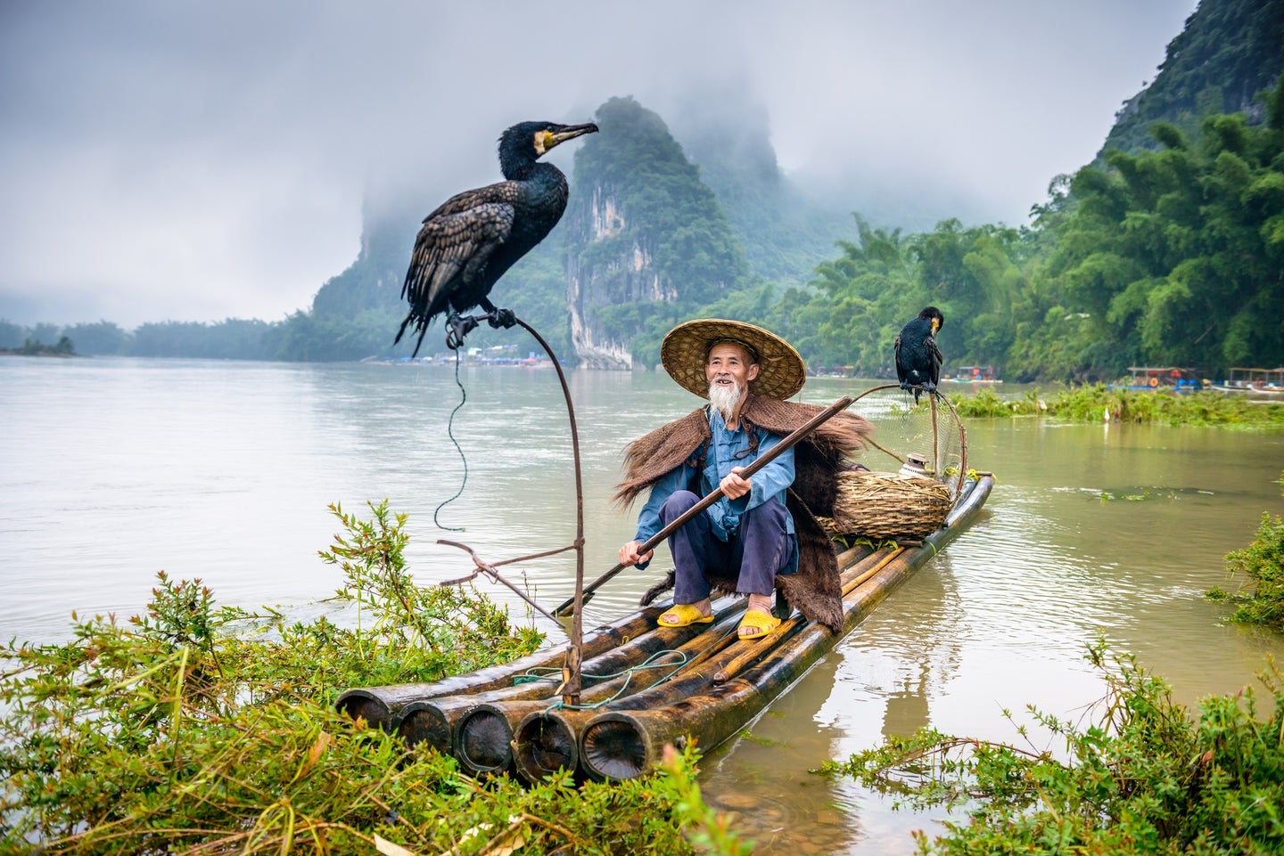 Chinese fisher with two cormorant birds in a boat in front of a mountain
