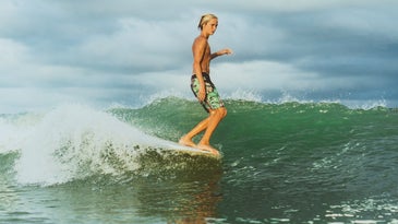 A person noseriding on a longboard, surfing a wave on greenish water.