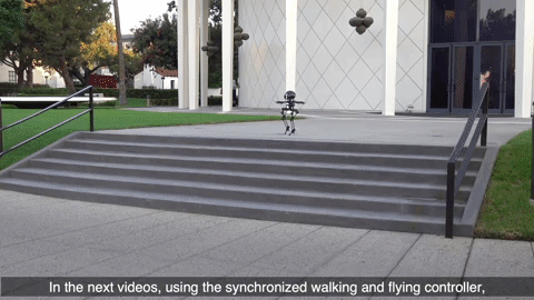 LEO the robot can float like a butterfly and balance on a beam