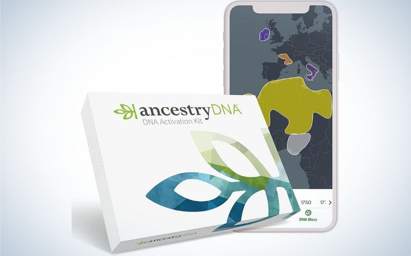 AncestryDNA is the best DNA test kit for ethnicity.
