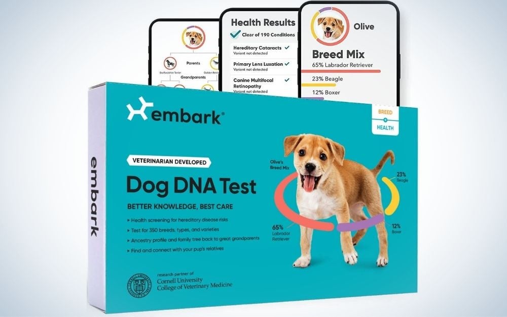 The Embark Breed + Health Dog DNA Test is the best DNA test kit for dogs.