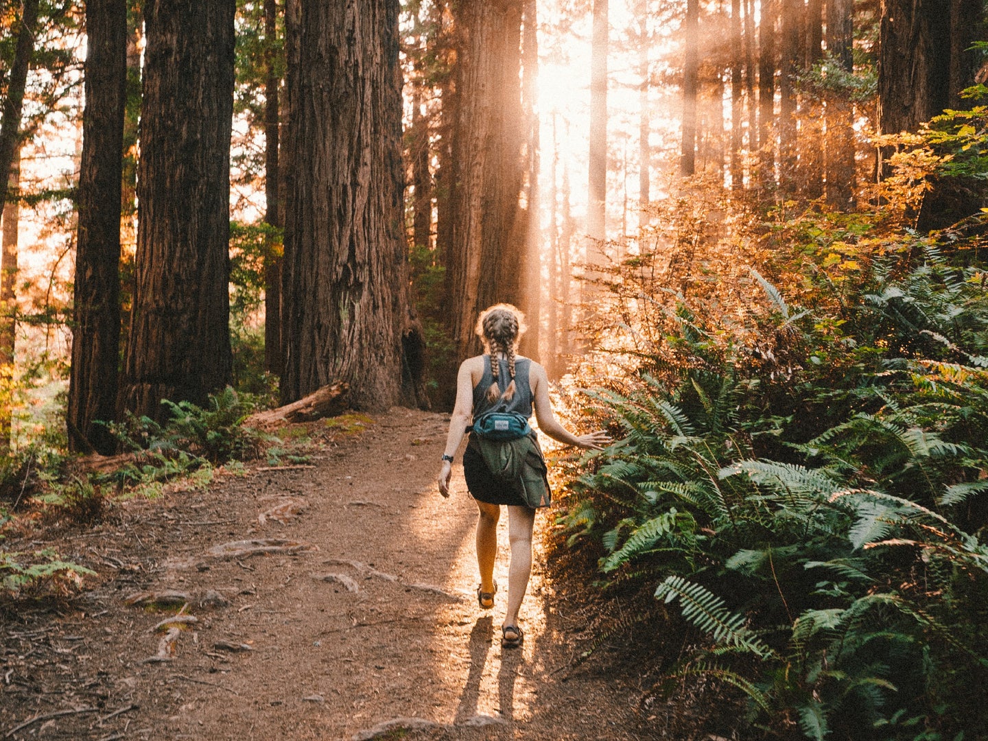 A person hiking alone on a trail without any crowds, moving through the forest toward the setting sun.