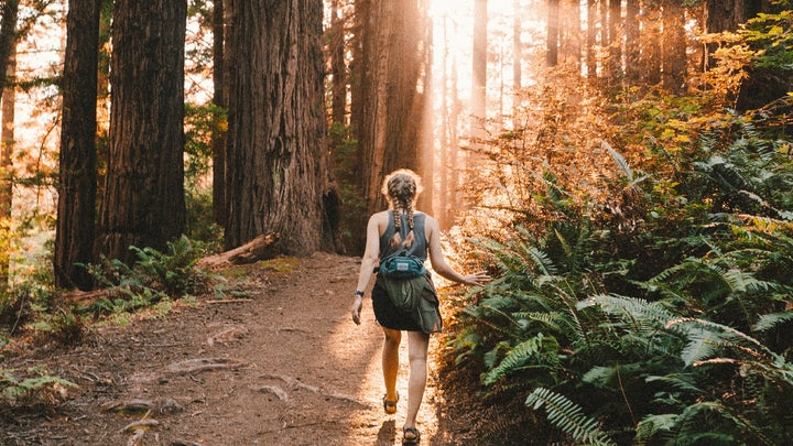 A person hiking alone on a trail without any crowds, moving through the forest toward the setting sun.