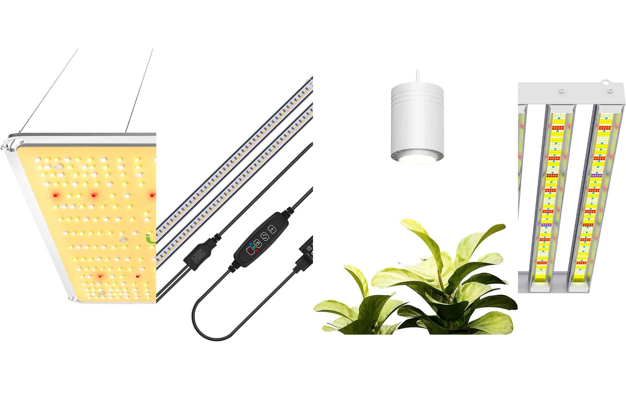 The best LED grow lights for 2024
