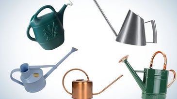 Best watering cans of 2022