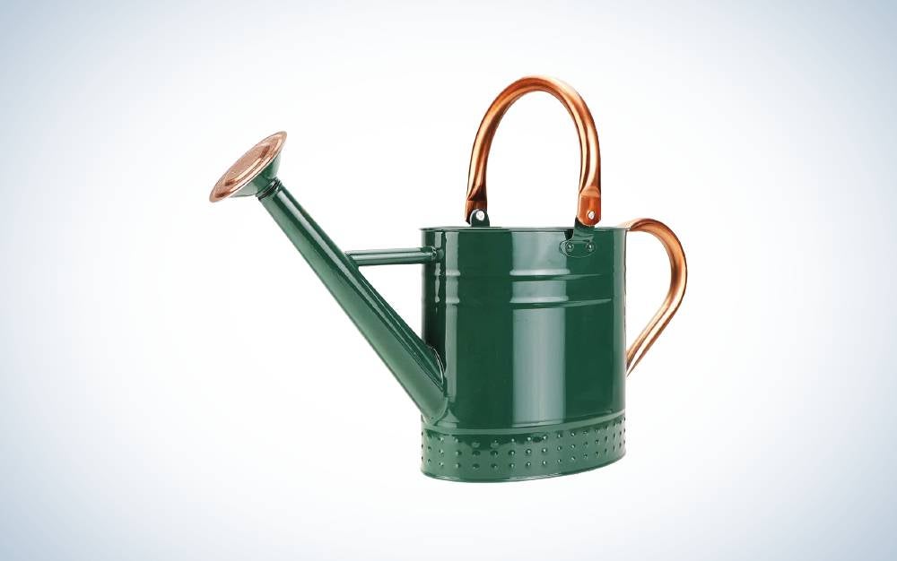 1 Gallon Black SunnyTong Galvanized Steel Watering Can Metal Watering Can for Outdoor Plants with Copper Accents 