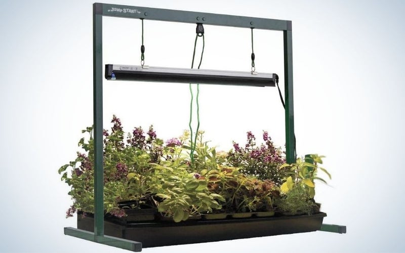Jump Start is our pick for best grow lights.