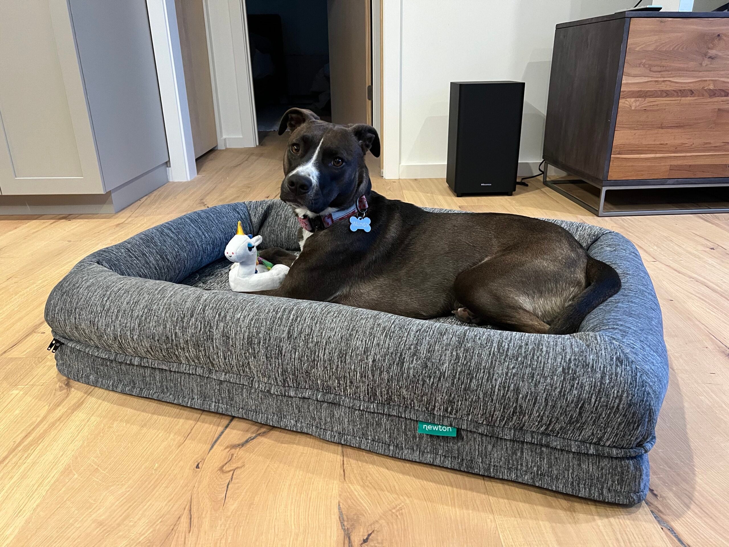 A washable pet bed with a dog in it