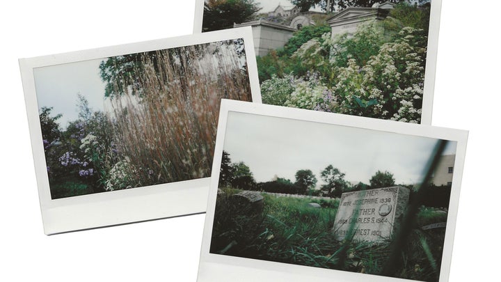 Green-Wood Cemetery in Brooklyn, New York, on three Polaroid photos