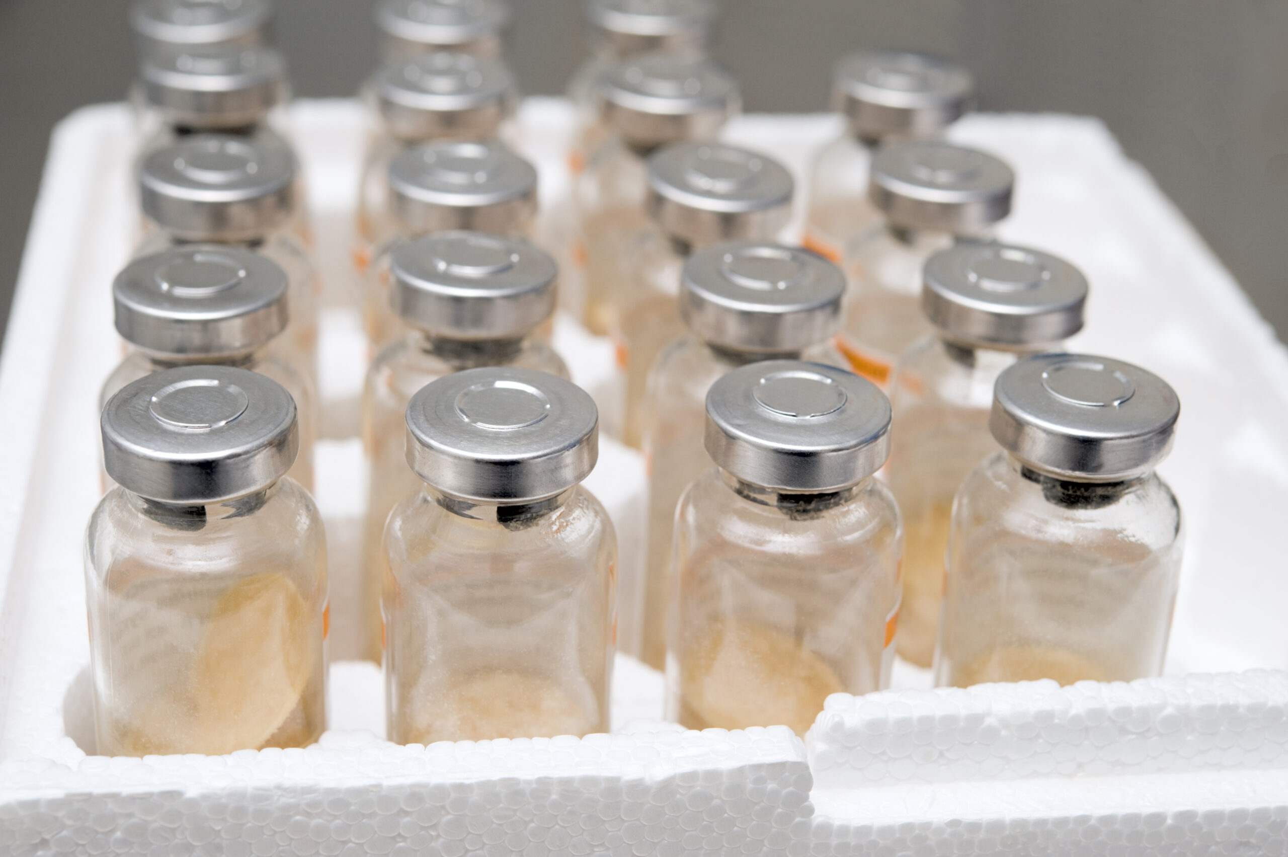Are US booster shots sapping the world’s vaccine supply?