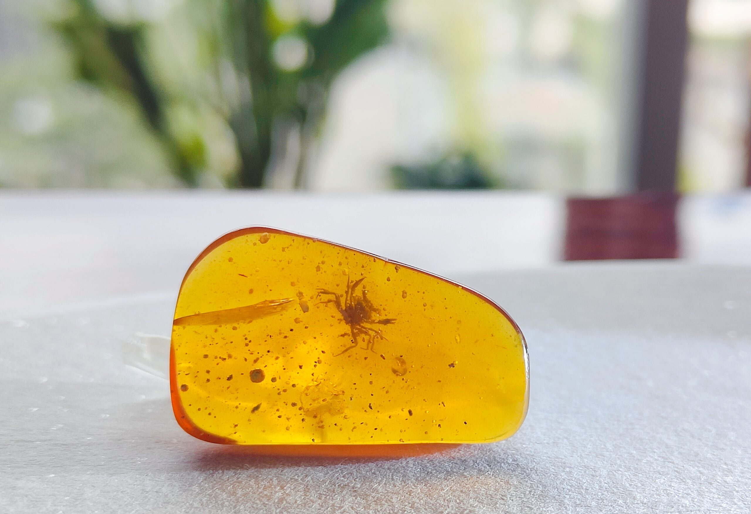 Entombed in amber, this tiny crab hails from the age of dinosaurs