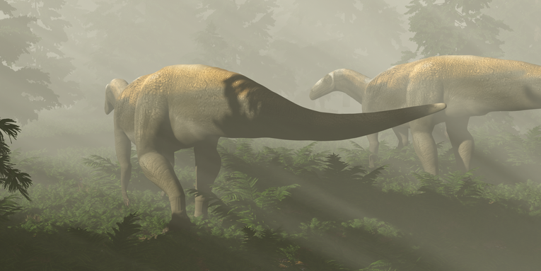 After 60 years, a mysterious Australian dinosaur just got downsized